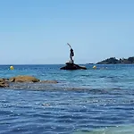 Maria Jesus
